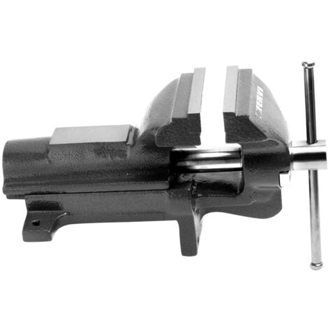 Fervi 0427/100 Morsa parallela da banco sferoidale 100 mm