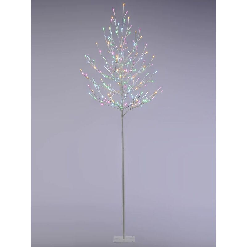 Image of Festive - Indoor or Outdoor Christmas&hellip;