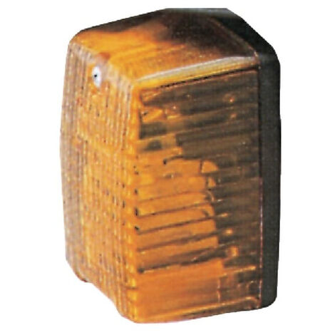Feu clignotant droit COBO 03395000