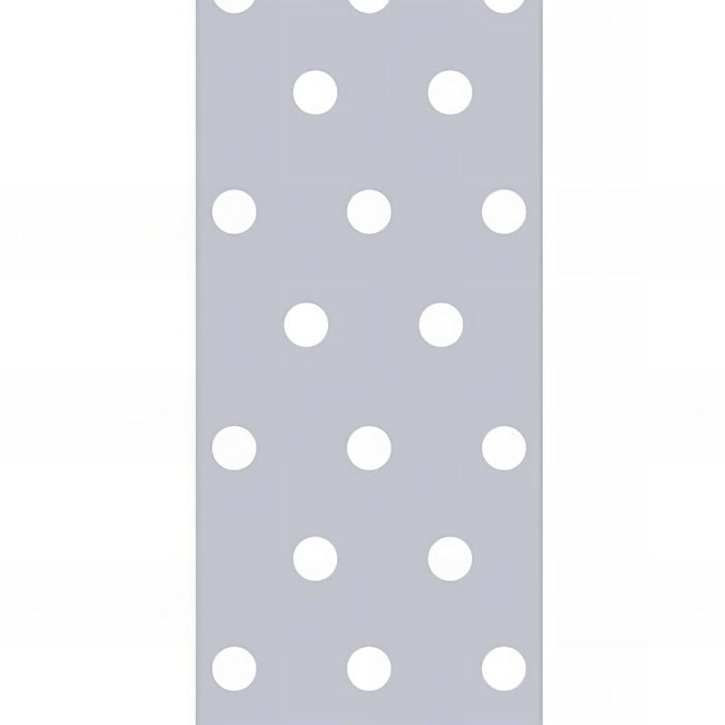Feuillard perforé galvanisée - 60 x 2,0 mm x 25 m