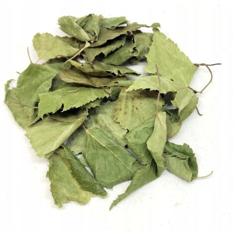 FEUILLE DE BOULEAU ENTIÈRE 1 KG 100% NATUREL BOUTIQUE