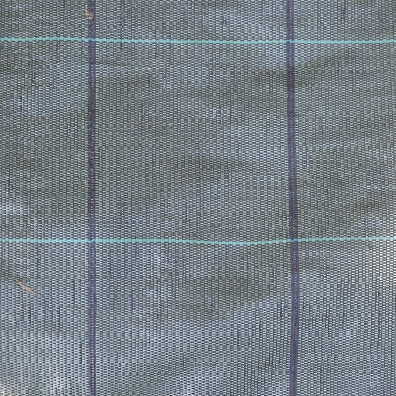 Feuille de paillage en polypropylène indéchirable h.1,57 x 100mt - Salon