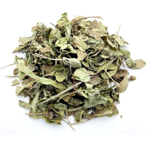 Feuilles de myrtille 1 kg naturelles