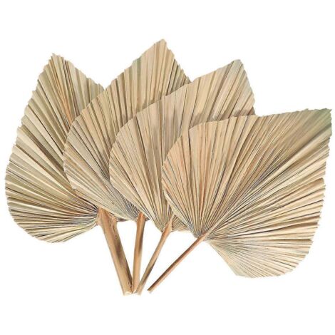 feuilles de palmier séchées, éventails de palmier séchés, style bohème tropical, comme sur la photo