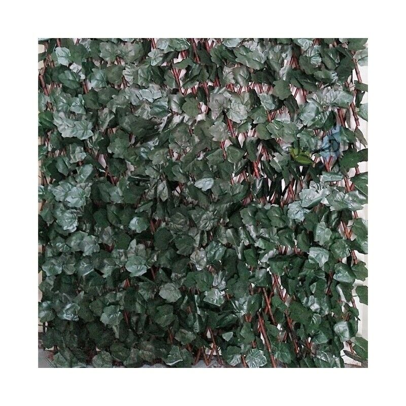 Suinga - Treillis en osier extensible avec des feuilles de saule. 1 x 2 mètres.