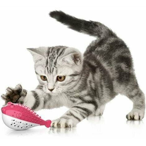 https://cdn.manomano.com/fgqmid-cat-tooth-toy-cat-toy-silicone-molar-tooth-chew-toy-kitten-toy-catnip-toothbrush-fish-shape-interactive-toy-for-cats-dental-hygiene-pink-cruel-P-27616670-103214867_1.jpg