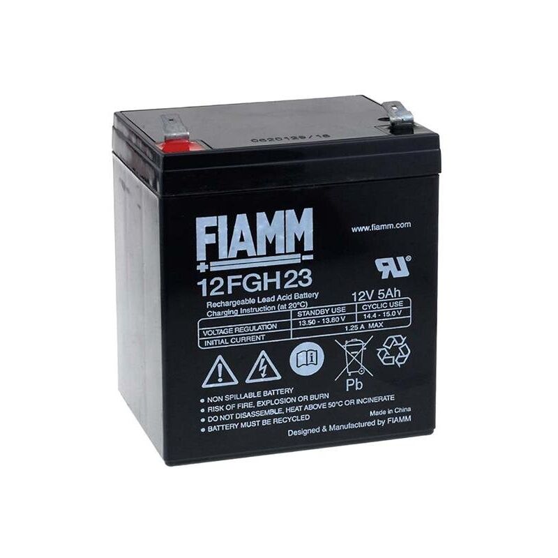 

FIAMM Batería de Plomo FGH20502 12FGH23 (alta descarga -arranque)