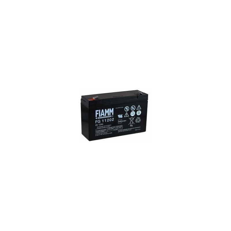 

FIAMM Batería de recambio FG11202 Vds 6V 12Ah para señuelo de pesca, barco de cebo, barco señuelo