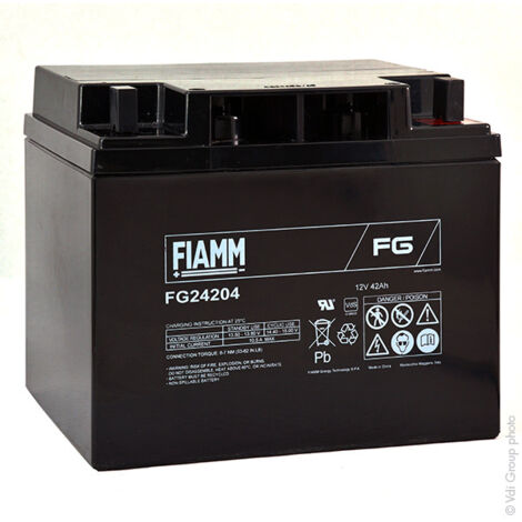 Fiamm - Batterie plomb AGM FG24204 12V 42Ah M6-M