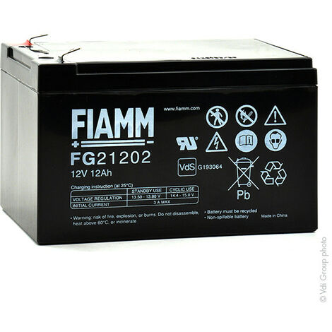 Fiamm - Batterie plomb AGM FIAMM FG21202 12V 12Ah F6.35