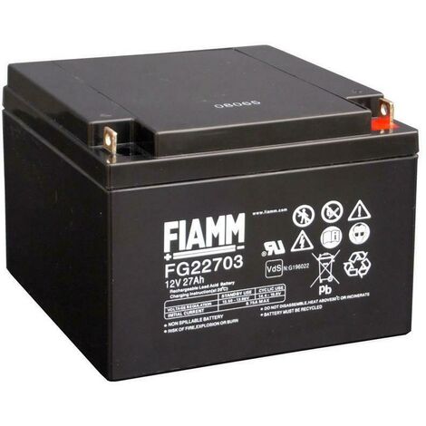 Desolfatatore 2A per batterie al piombo 12V-24V-36V-48V