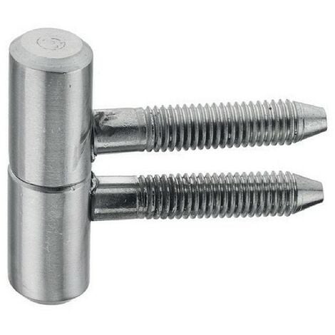 Fiche à visser 16x45mm acier finition zinguée blanc - MONIN - 651510