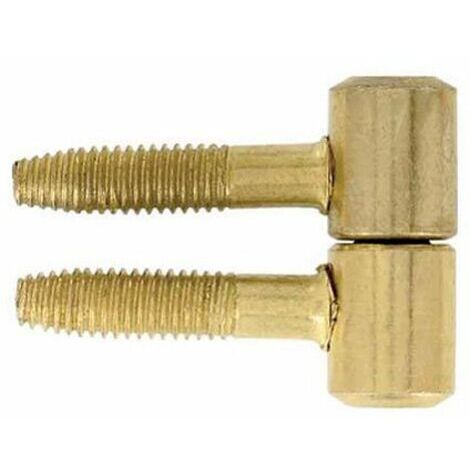 Fiche à Visser Vynex D13 Fixation Robuste Pour Panneaux - Vynex