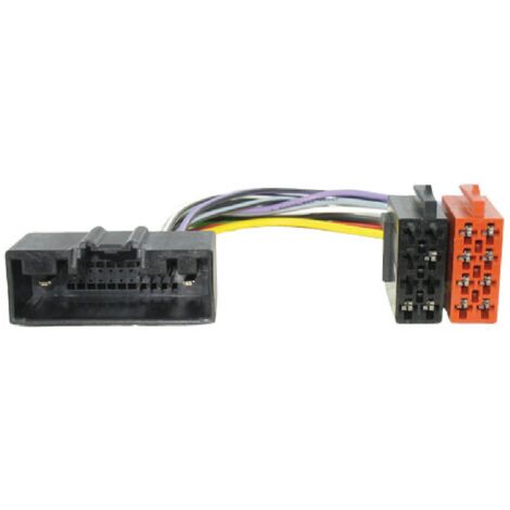 Fiche ISO compatible avec Ford Land Rover ap10