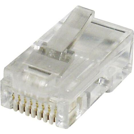 Fiche modulaire mâle econ connect MPL88R RJ45 mâle, droit Pôle: 8 transparent(e) 1 pc(s) Y721671