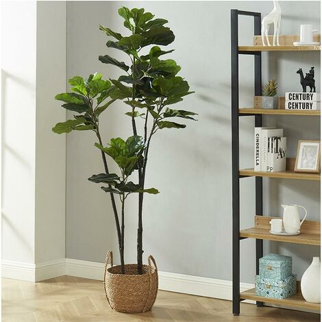 Ficus lyrata verdecora al mejor precio - Página 2