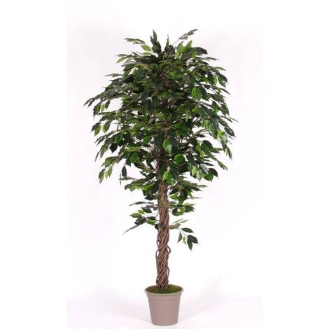 Ficus Artificiale Luxe Verde - Tronco Liana - In varie altezze - 150