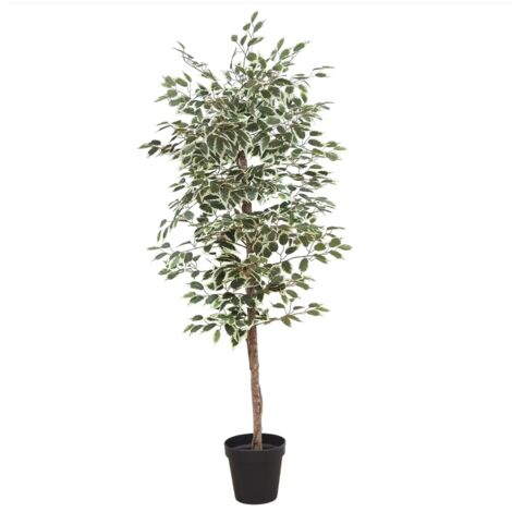 Ficus artificiel panaché 180cm