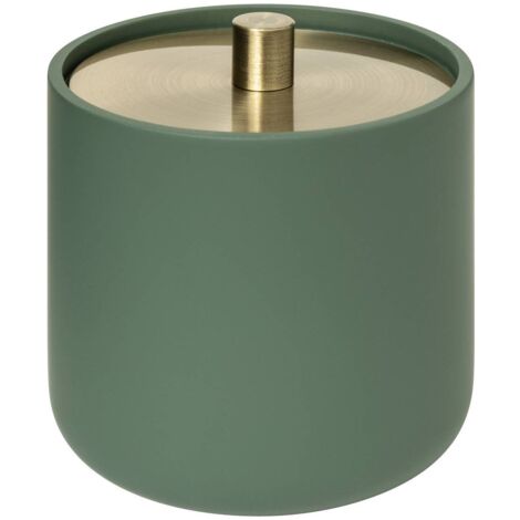 Ficus in vaso con boccioli di cotone duo - 5five
