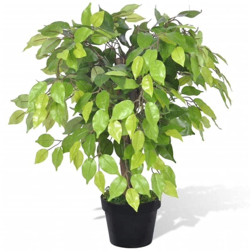 Vidaxl - Ficus Nano Artificiale con Vaso 60 cm 3643