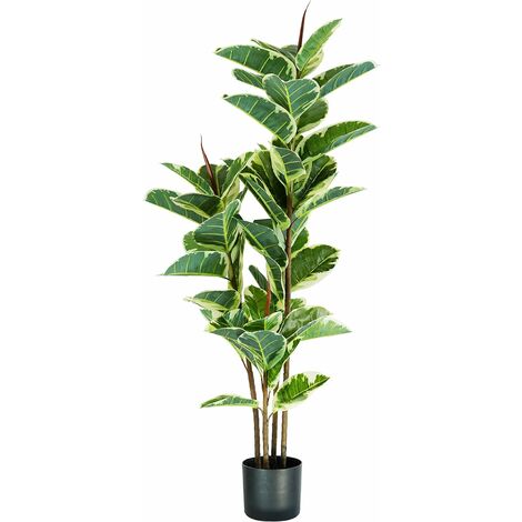 FICUS PLANT ELASTIQUE H. 145 cm 54 FEUILLES