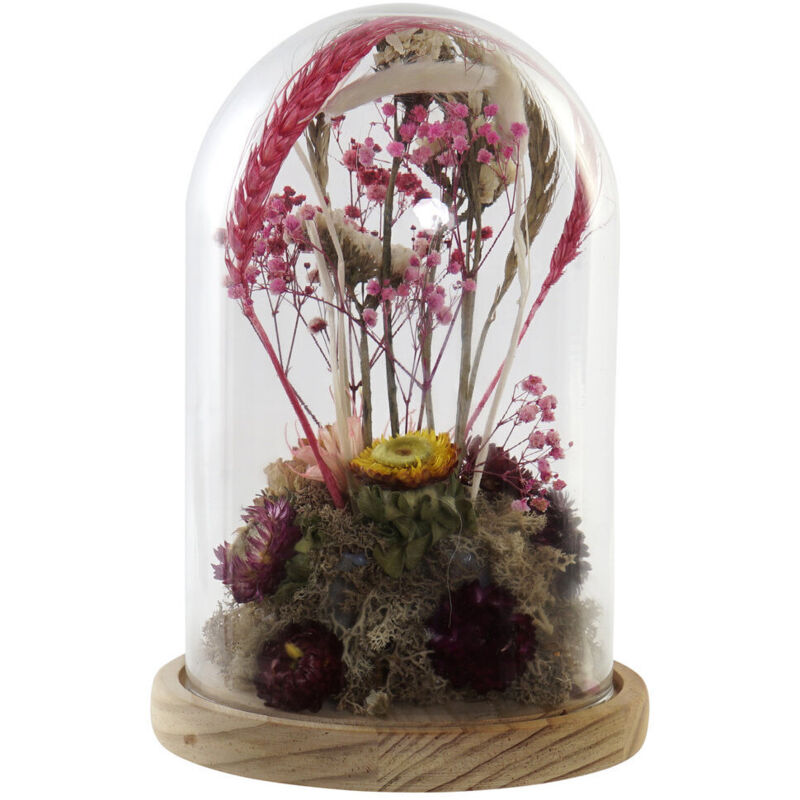 Décoration Fleur Séchée Verre 17X17X26 Fleurs