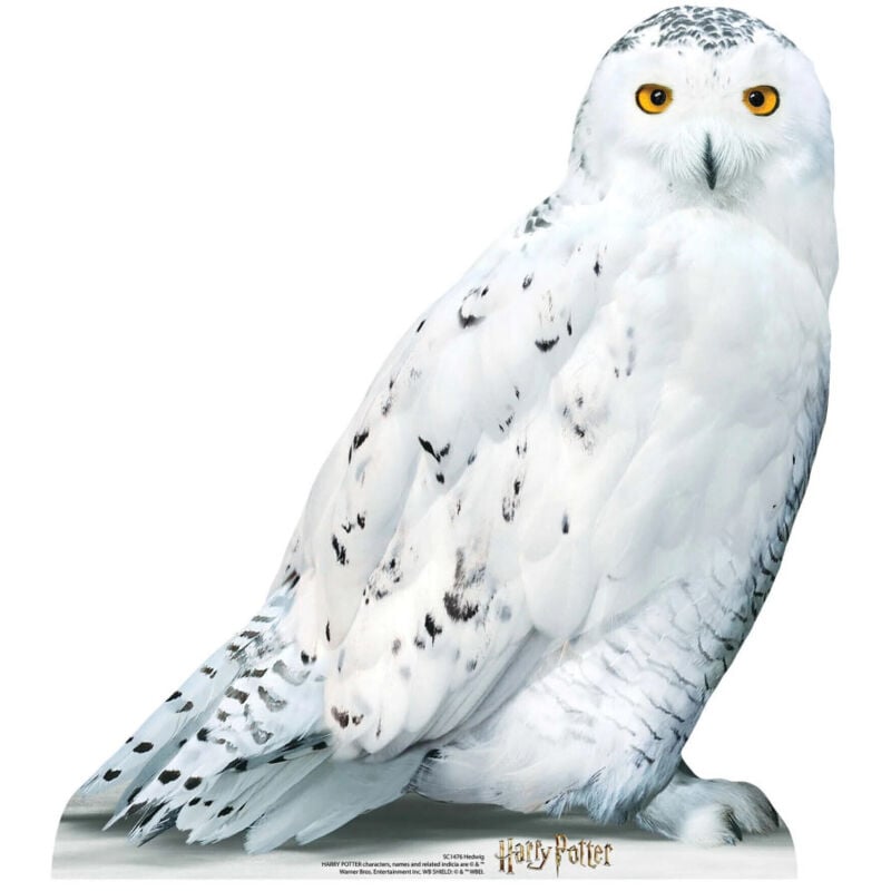 Star Cutouts - Figurine en carton Hedwige la chouette blanche Film Harry Potter 74 cm