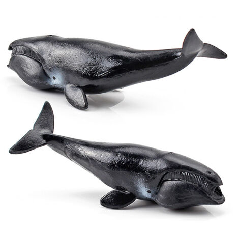 [Figurines Miniatures] Décorations Jardin 12PCS Animaux Marins PVC Miniatures pour Enfant Apprentissage Créatif Décor