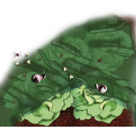 Filet a insectes