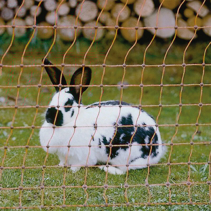 Filet pour lapins Lacmé l 50 m x h 65 cm