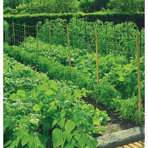 FILET A RAMER - 5 X 2 M - Protection