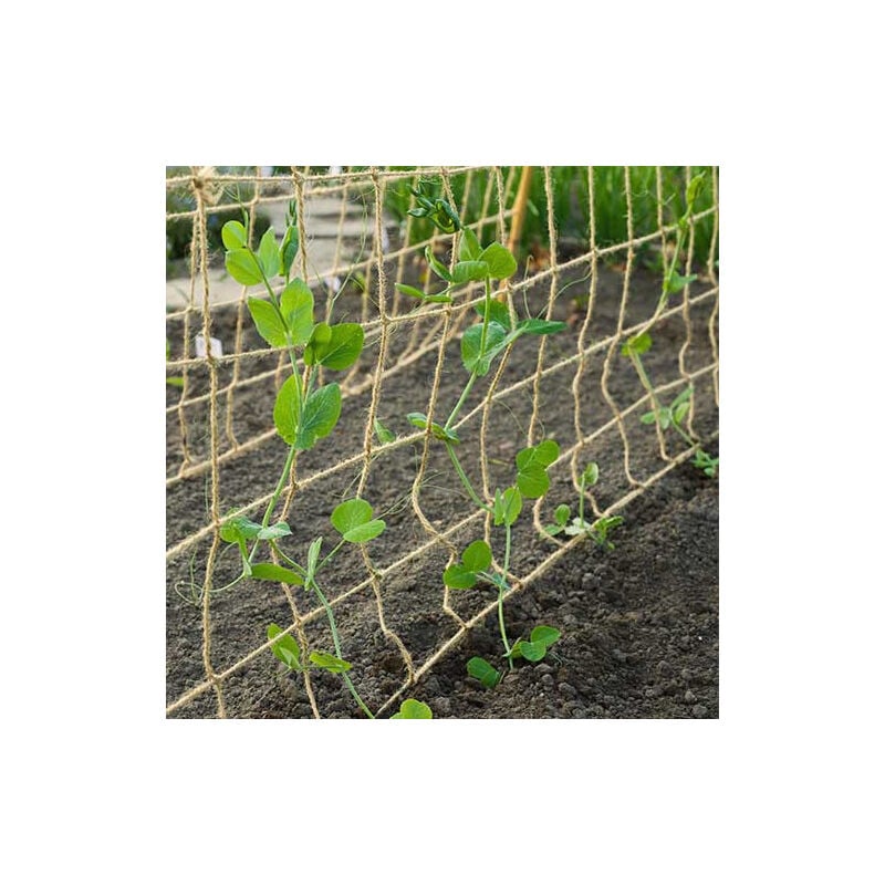 Nature - Filet à ramer en jute, Dimensions 1.8 x 5 m