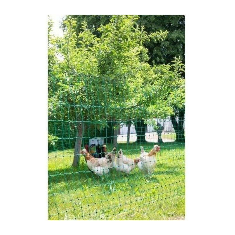 Filet pour les poules 50 m - 106 cm - double pointe - vert - non électrique - Kerbl