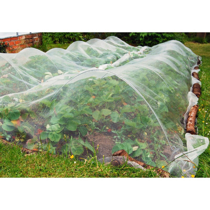 Filet anti-insectes 50gr/m² 12m x 5m