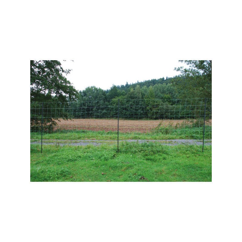 Filet anti-loup 25 m, h 170 cm, horinetz super