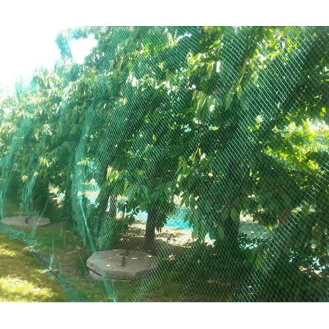Filet Anti-oiseau lourd clôture de jardin et cultures clôture de protection maille Anti oiseau cerf chat chien poulet 4m 5m
