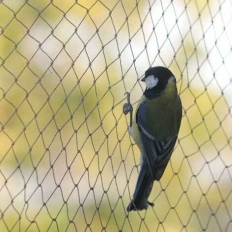 Filet anti-oiseaux, 10 x 6 m de large, filet anti-oiseaux, filet de protection solide pour bassin de jardin, pour fruits, légumes--TRIMEC