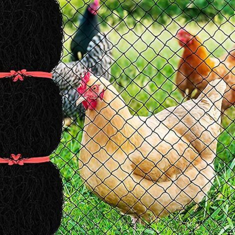 filet Anti-oiseaux De 7,6 X 15,2 M Avec Maille Carre De 2,5 Cm, Filet De Jardin Rutilisable Pour Poulailler, Filet De Volaille En Nylon Pour Cltur