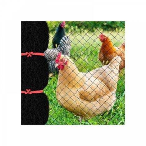 Filet anti-oiseaux de 7,6 x 15,2 m avec maille carrée de 2,5 cm, filet de jardin réutilisable pour poulailler, filet de volaille en nylon pour clôture de cerf pour protéger les arbres fruitiers de lég