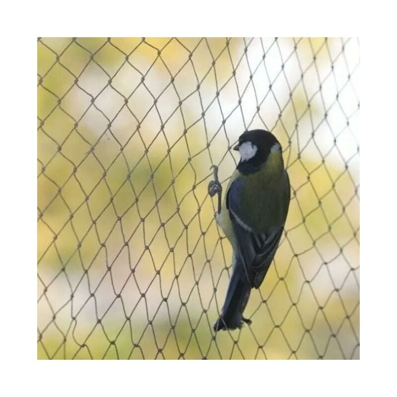 Filet anti-oiseaux, Maille 【1,51,5 cm】10 m 5 m , filet anti-oiseaux, filet de protection solide pour bassin de jardin, pour fruits, légumes