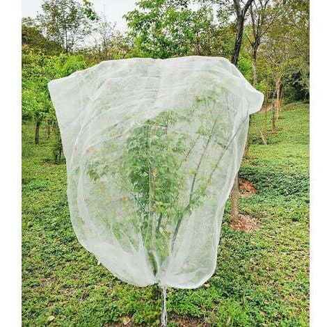 Filet Arbre Fruitier 1.8m X 1.8m, Filet Anti-Insectes pour Plantes, Filet Anti Insectes Maille Fine avec Cordon de Serrage, Filets Anti Oiseaux pour Protection Fruitiers, Arbre