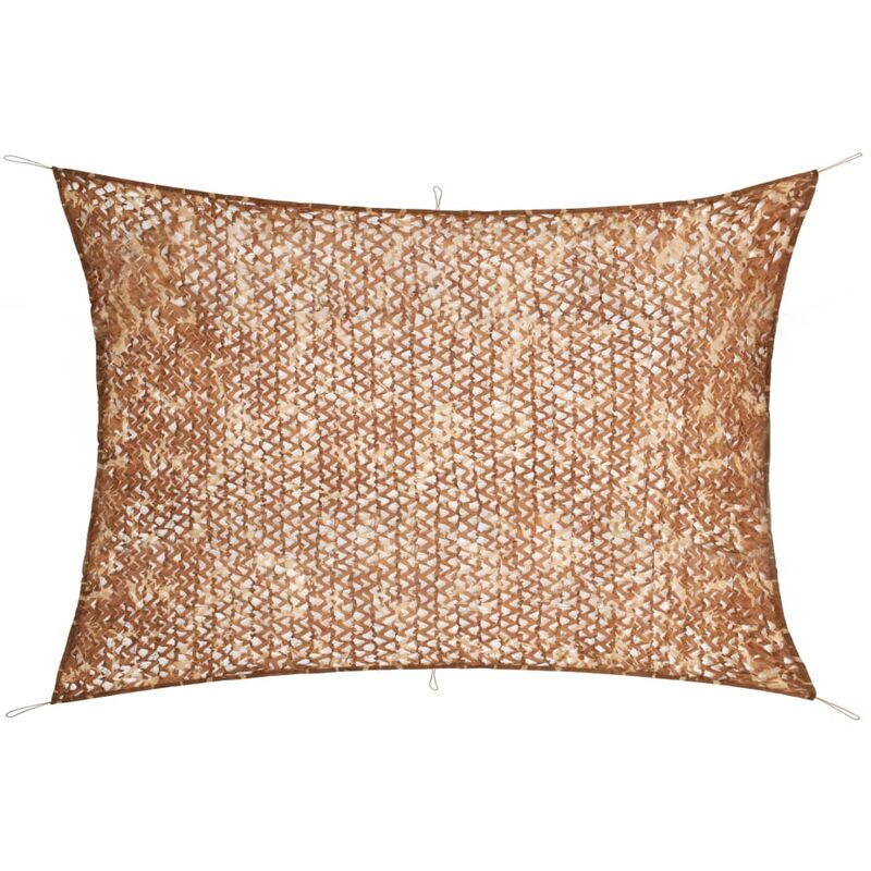 Filet de Camouflage avec Sac de Rangement Beige 6x8 m