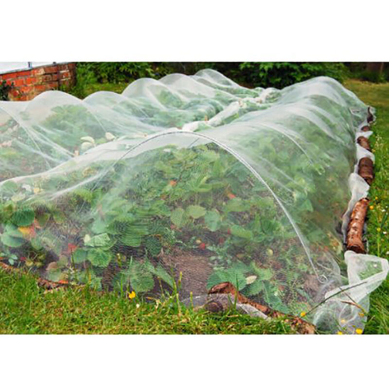 Filet de protection contre les insectes 2,5x10 m