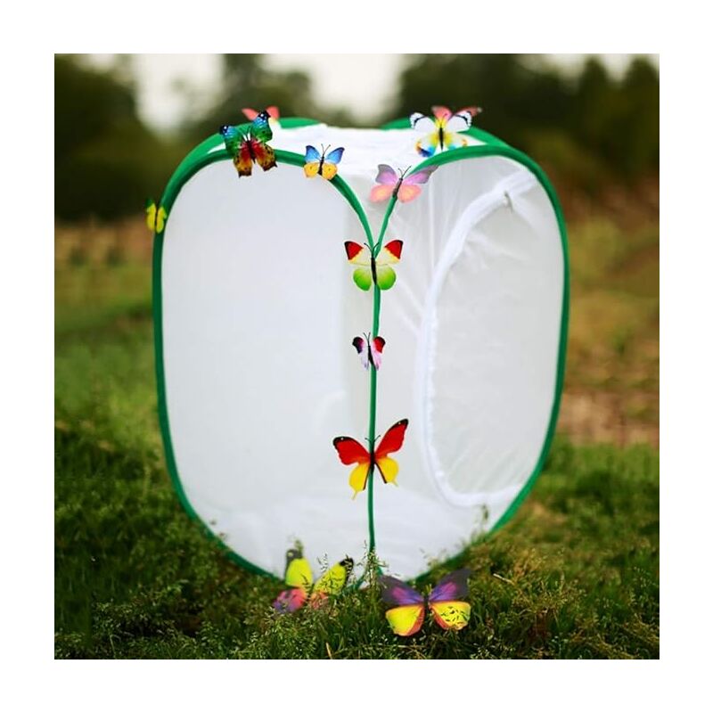 Filet de protection contre les oiseaux, filet anti-insectes, couverture de protection des plantes