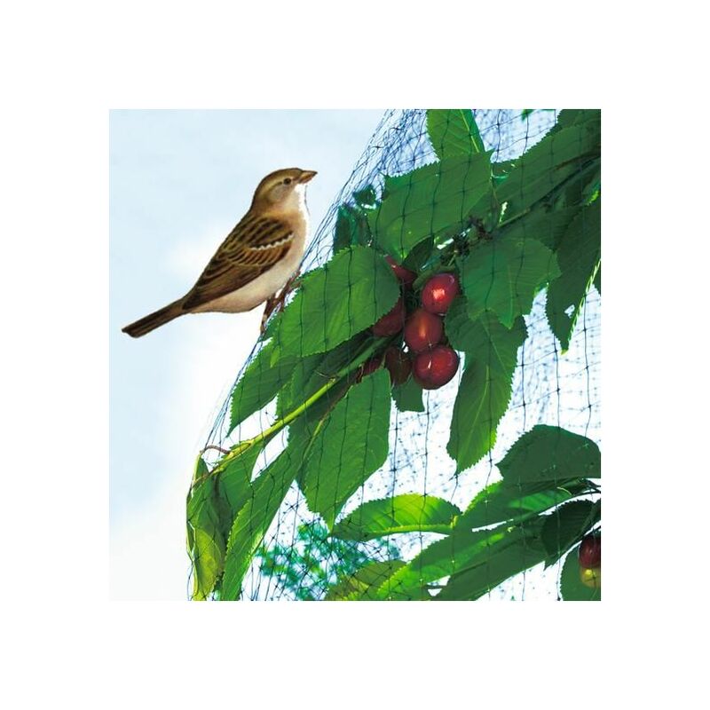 Nortene - Filet de protection oiseaux easynet