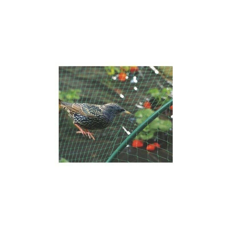 Celloplast - Filet de protection oiseaux birdnet 10 x 5