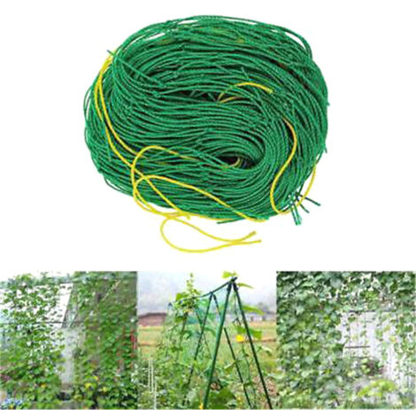Filet de support en nylon vert pour haricots grimpants