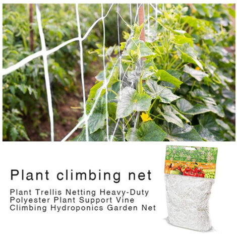 Filet de support pour plantes grimpantes, treillis en nylon résistant, accessoire de culture et jardinage（1.6720m）