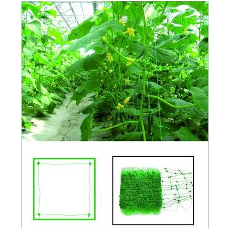 Filet en plastique pour plantes grimpantes, rouleau de 50 m, H. cm. 200