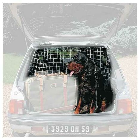 Filet Pare Chien Universel Pour Voiture